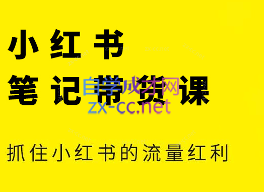 张宾·小红书笔记带货课(更新9月)-爱找项目网