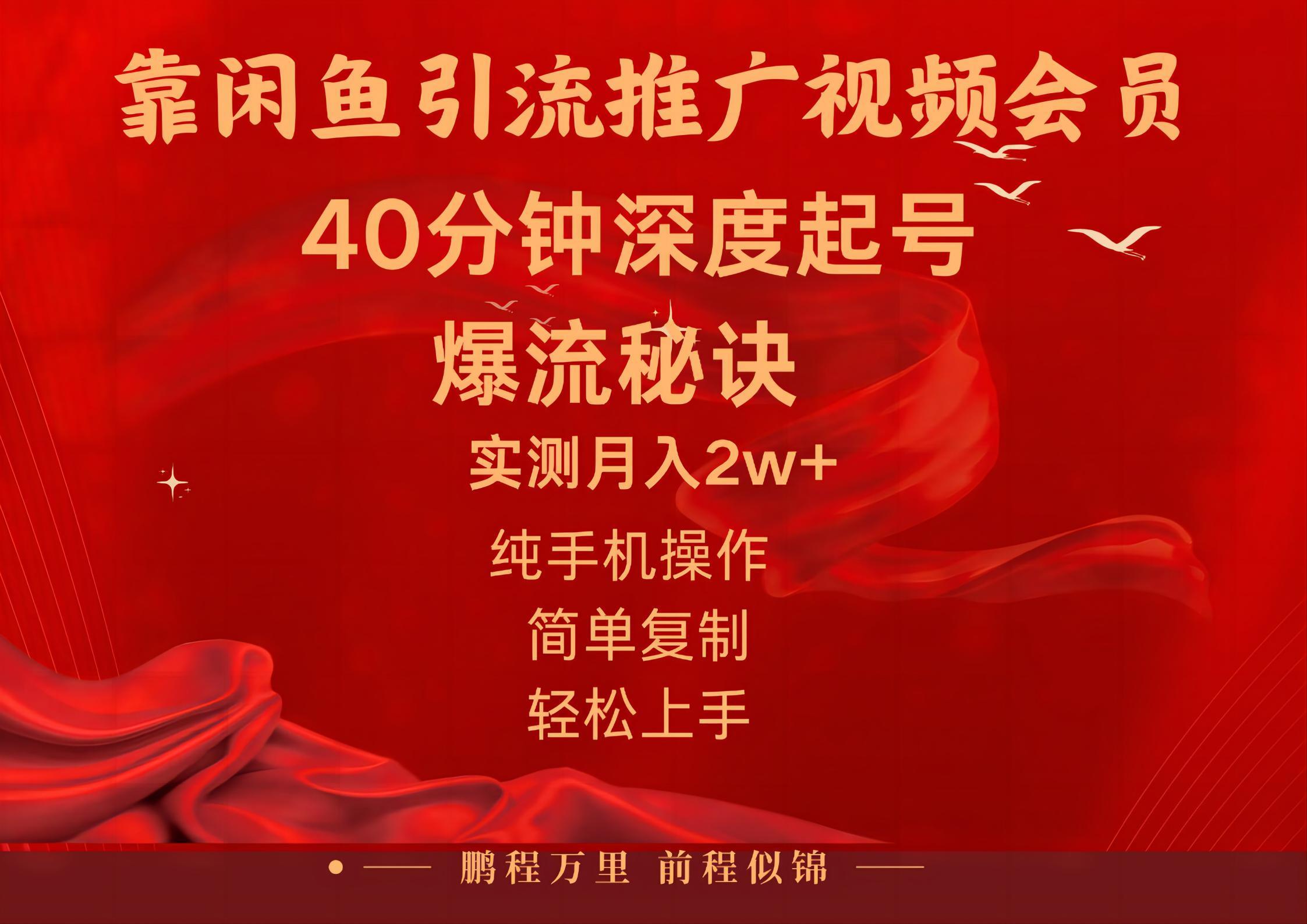 闲鱼暴力引流推广视频会员，能做到日入2W+，操作简单-爱找项目网