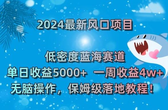 2024最新风口项目，低密度蓝海赛道，单日收益5000+，一周收益4w+！【揭秘】-爱找项目网