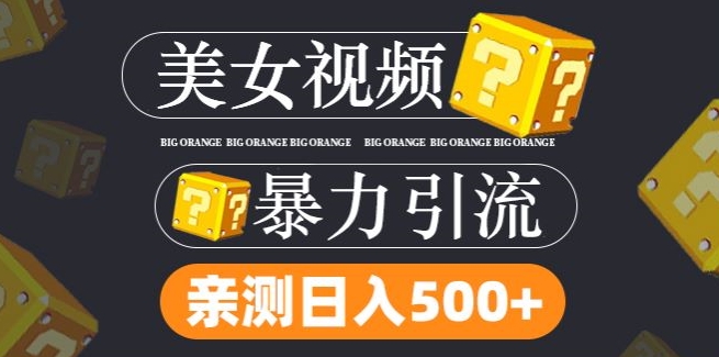 搬运tk美女视频全网分发，日引s粉300+，轻松变现，不限流量不封号【揭秘】-爱找项目网
