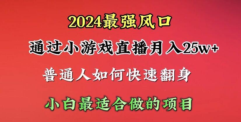 (10020期)2024年最强风口，通过小游戏直播月入25w+单日收益5000+小白最适合做的项目-爱找项目网