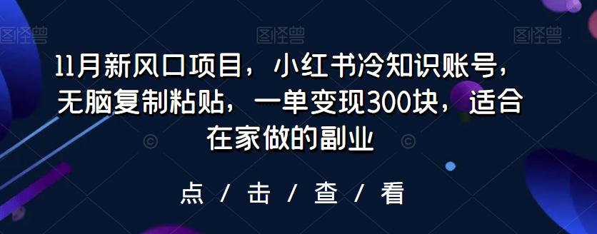 11月新风口项目，小红书冷知识账号，无脑复制粘贴，一单变现300块，适合在家做的副业-爱找项目网