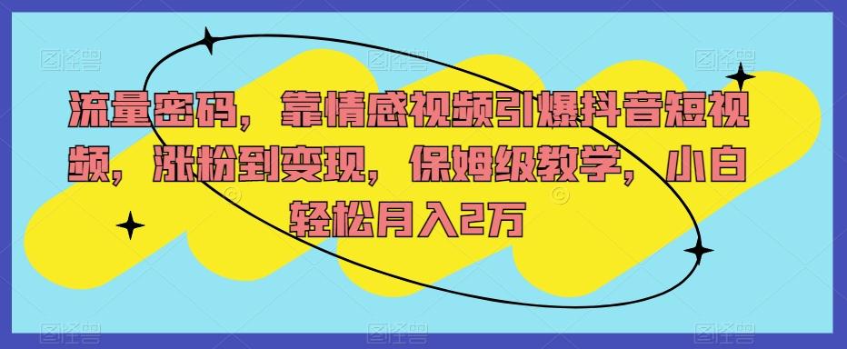 流量密码，靠情感视频引爆抖音短视频，涨粉到变现，保姆级教学，小白轻松月入2万【揭秘】-爱找项目网