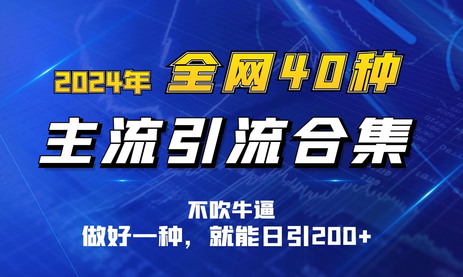 2024年全网40种暴力引流合计，做好一样就能日引100+-爱找项目网