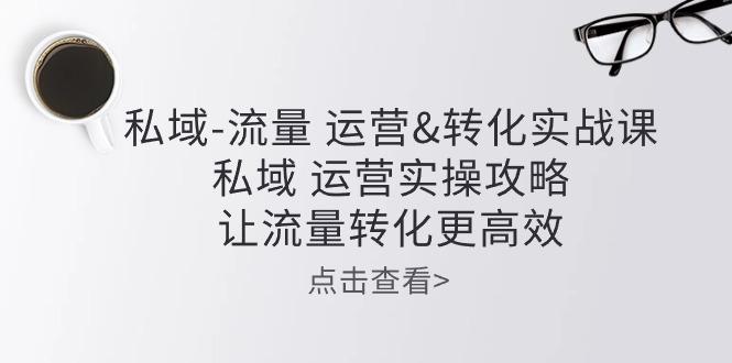 私域-流量 运营&转化实操课：私域 运营实操攻略 让流量转化更高效-爱找项目网