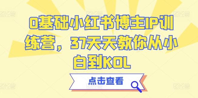 0基础小红书博主IP训练营，37天天教你从小白到KOL-爱找项目网