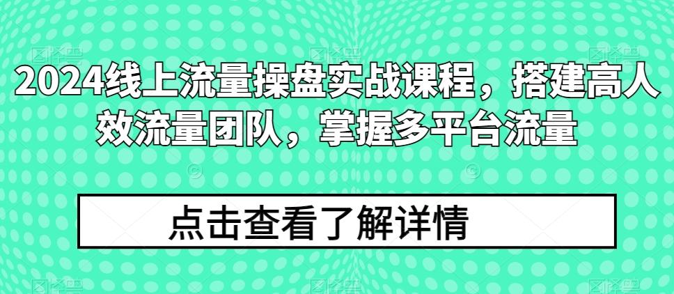 2024线上流量操盘实战课程，搭建高人效流量团队，掌握多平台流量-爱找项目网
