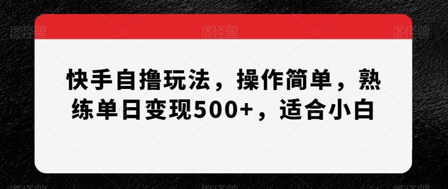 快手自撸玩法，操作简单，熟练单日变现500+，适合小白【揭秘】-爱找项目网