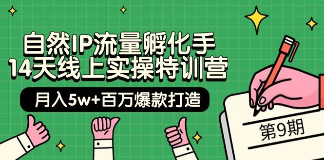 (9881期)自然IP流量孵化手 14天线上实操特训营【第9期】月入5w+百万爆款打造 (74节)-爱找项目网