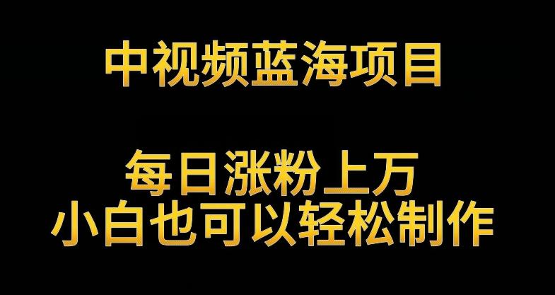 中视频蓝海项目，解读英雄人物生平，每日涨粉上万，小白也可以轻松制作，月入过万不是梦【揭秘】-爱找项目网