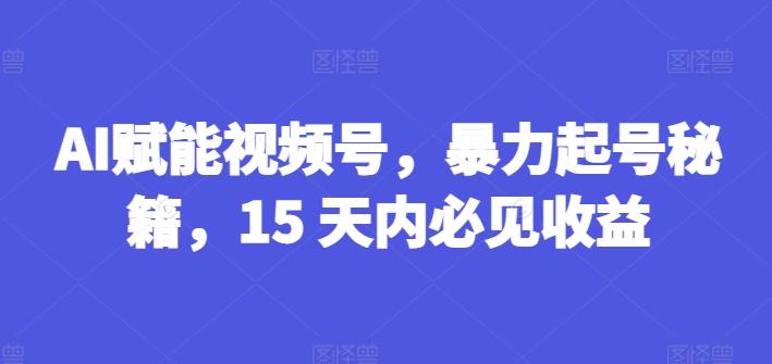 AI赋能视频号，暴力起号秘籍，15 天内必见收益【揭秘】-爱找项目网