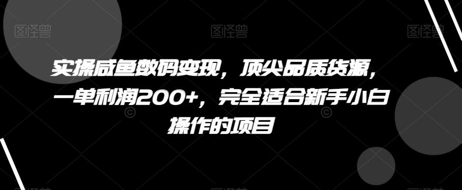 实操咸鱼数码变现，顶尖品质货源，一单利润200+，完全适合新手小白操作的项目【揭秘】-爱找项目网