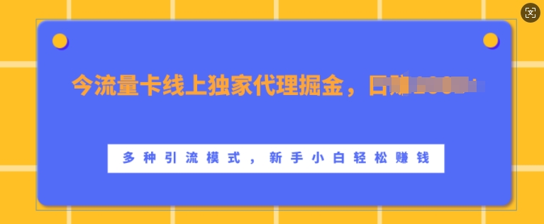 流量卡线上独家代理掘金，日入1k+ ，多种引流模式，新手小白轻松上手【揭秘】-爱找项目网