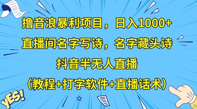 撸音浪暴利项目，日入1000+，直播间名字写诗，名字藏头诗，抖音半无人直播（教程+打字软件+直播话术）【揭秘】-爱找项目网