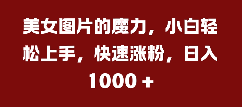 美女图片的魔力，小白轻松上手，快速涨粉，日入几张【揭秘】-爱找项目网