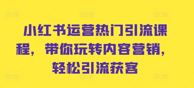 小红书运营热门引流课程，带你玩转内容营销，轻松引流获客-爱找项目网