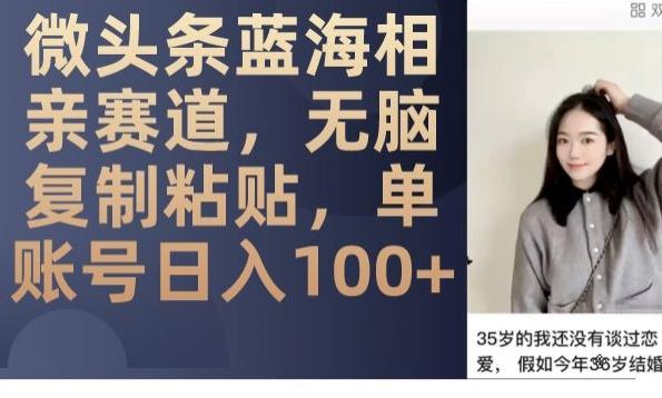 微头条蓝海相亲赛道，无脑复制粘贴，单账号日入100+-爱找项目网