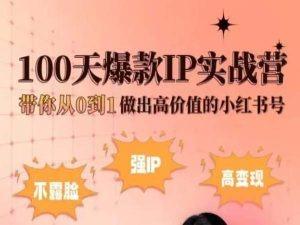 小红书100天爆款IP实战营，带你从0到1做出高价值的小红书号-爱找项目网