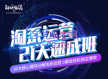 淘系运营21天速成班(更新24年5月)-爱找项目网