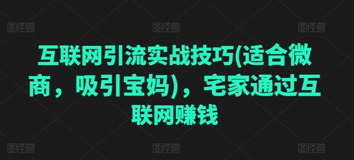 互联网引流实战技巧(适合微商，吸引宝妈)，宅家通过互联网赚钱-爱找项目网