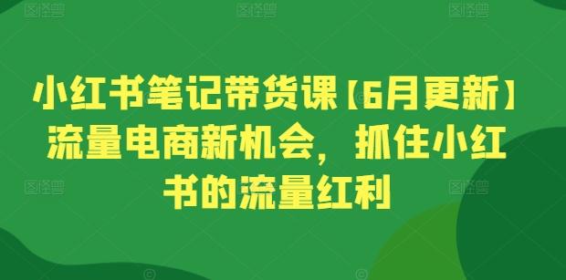 小红书笔记带货课【6月更新】流量电商新机会，抓住小红书的流量红利-爱找项目网