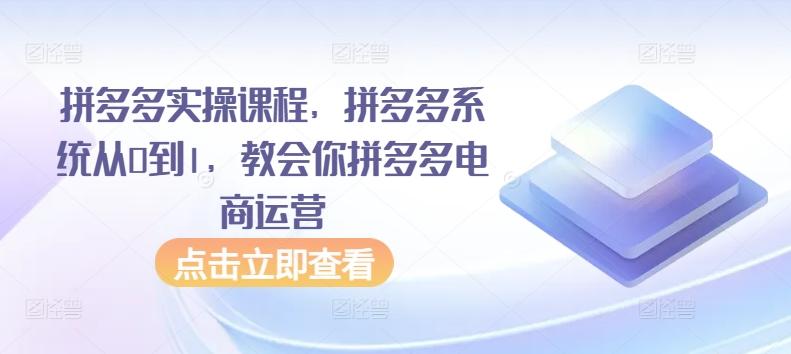 拼多多实操课程，拼多多系统从0到1，教会你拼多多电商运营-爱找项目网