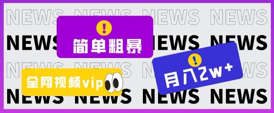 简单粗暴零成本，高回报，全网视频VIP掘金项目，月入2万＋【揭秘】-爱找项目网