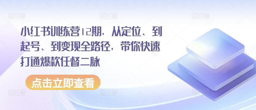小红书训练营12期，从定位、到起号、到变现全路径，带你快速打通爆款任督二脉-爱找项目网