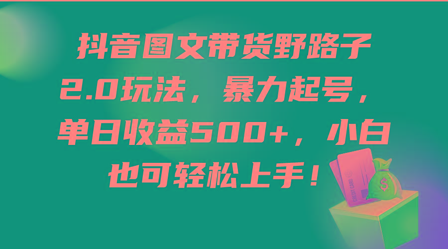 (9790期)抖音图文带货野路子2.0玩法，暴力起号，单日收益500+，小白也可轻松上手！-爱找项目网