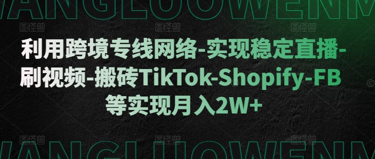 利用跨境专线网络-实现稳定直播-刷视频-搬砖TikTok-Shopify-FB等实现月入2W+【揭秘】-爱找项目网