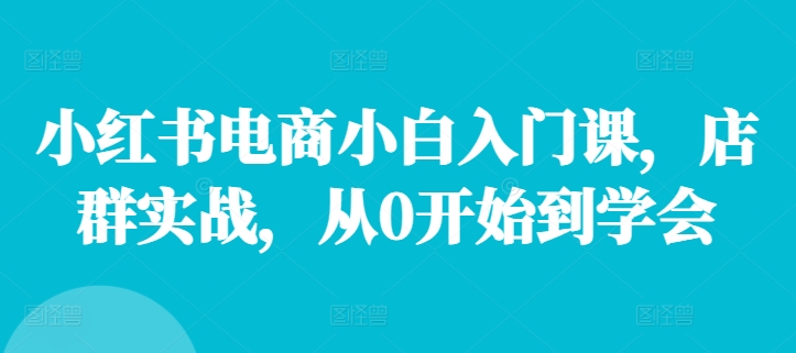 小红书电商小白入门课，店群实战，从0开始到学会-爱找项目网