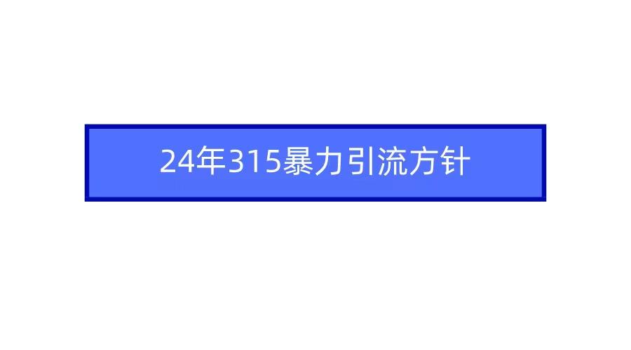 (9398期)2024年315暴力引流方针-爱找项目网