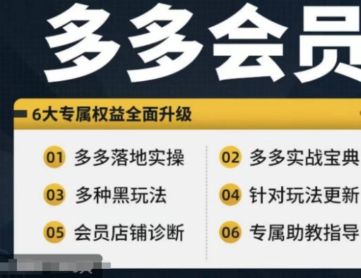 拼多多会员，拼多多实战宝典+实战落地实操，从新手到高阶内容全面覆盖-爱找项目网