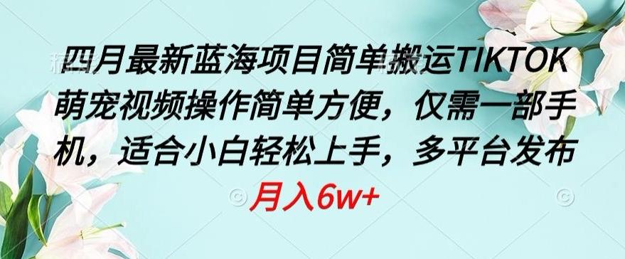 四月最新蓝海项目，简单搬运TIKTOK萌宠视频，操作简单方便，仅需一部手机【揭秘】-爱找项目网