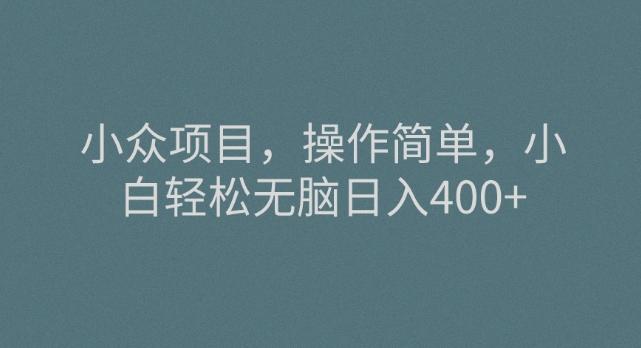 小众项目，操作简单，小白轻松无脑日入400+-爱找项目网