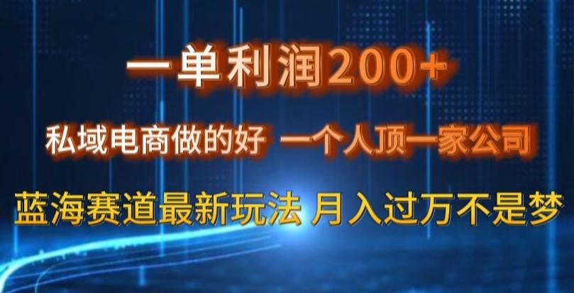 一单利润200私域电商做的好，一个人顶一家公司蓝海赛道最新玩法【揭秘】-爱找项目网