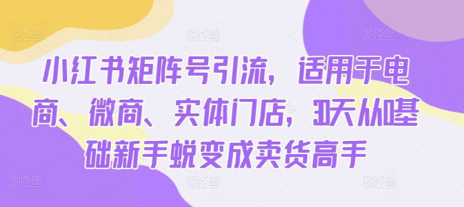 小红书矩阵号引流，适用于电商、微商、实体门店，30天从0基础新手蜕变成卖货高手-爱找项目网