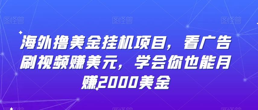 海外撸美金挂机项目，看广告刷视频赚美元，学会你也能月赚2000美金-爱找项目网