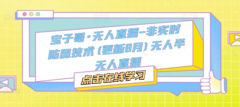 宝子哥·无人直播-非实时防风技术(更新8月)无人半无人直播-爱找项目网
