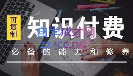 君哥·IP合伙人知识付费虚拟项目(更新24年6月)-爱找项目网