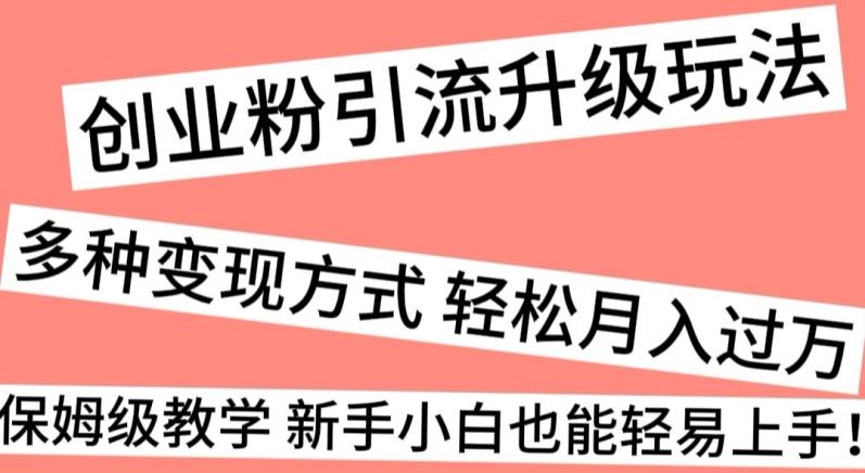 创业粉引流升级玩法，多种变现方式轻松月入过万，保姆级教学新手小白也能轻易上手！-爱找项目网
