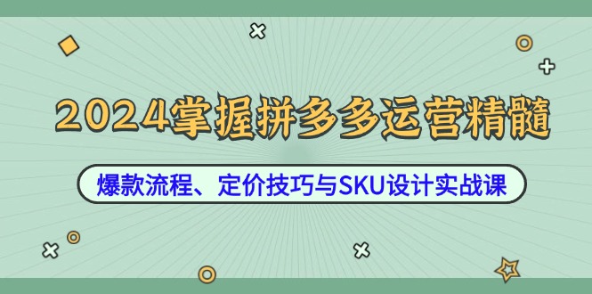 2024掌握拼多多运营精髓：爆款流程、定价技巧与SKU设计实战课-爱找项目网