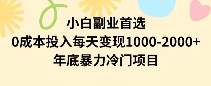 小白副业首选，0成本投入，每天变现1000-2000年底暴力冷门项目【揭秘】-爱找项目网