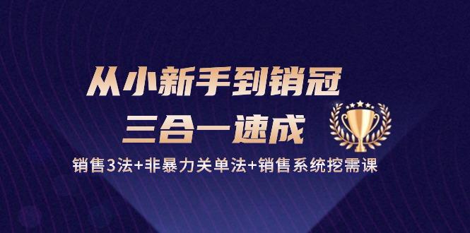 从小新手到销冠 三合一速成：销售3法+非暴力关单法+销售系统挖需课 (27节-爱找项目网