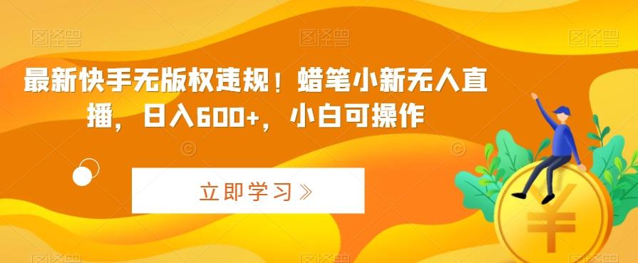 最新快手无版权违规！蜡笔小新无人直播，日入600+，小白可操作【揭秘】-爱找项目网