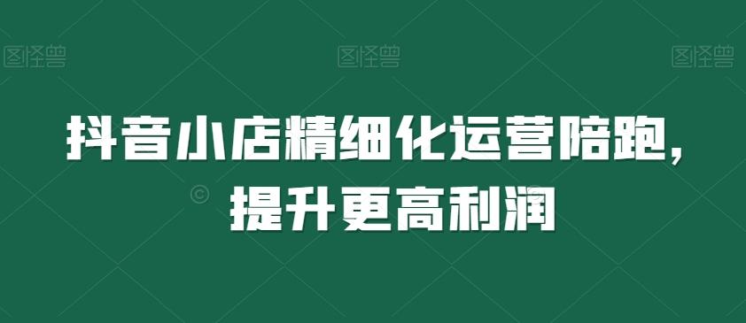 抖音小店精细化运营陪跑，提升更高利润-爱找项目网