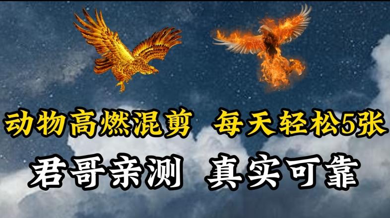 动物超燃混剪，每天轻松5张，剪辑简单大家爱看【揭秘】-爱找项目网