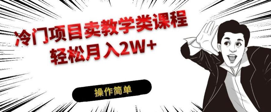 冷门项目卖教学类课程，轻松月入2W+-爱找项目网