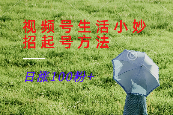 视频号生活小妙招分享赛道， 起号涨粉新方法，日涨100粉-爱找项目网