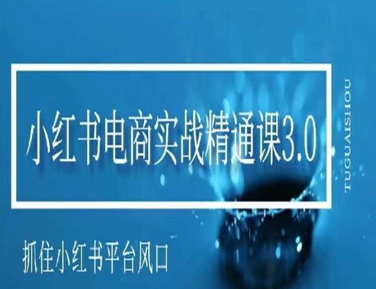 小红书电商实战精通课3.0，抓住小红书平台的风口，不错过有一个赚钱的机会-爱找项目网